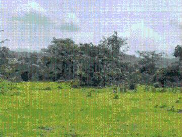 Residential Plot in Panvel for resale Navi Mumbai. The reference number is 19738435