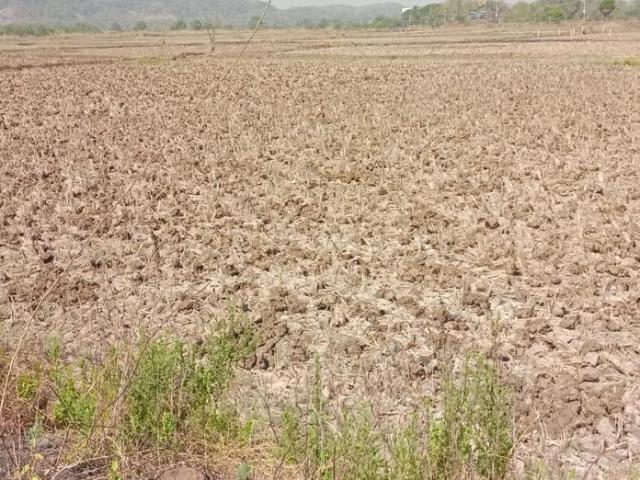 Residential Plot in Panvel for resale Navi Mumbai. The reference number is 20248836