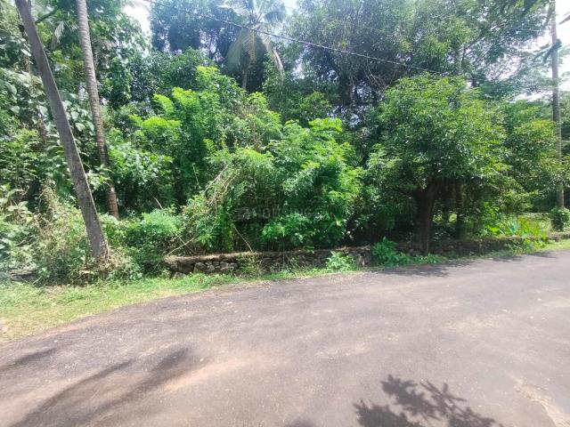 Residential Plot in Paravattani for resale Thrissur. The reference number is 20969366