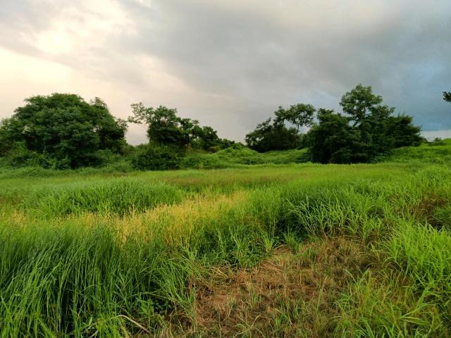 Residential Plot in Parali for resale Raigad. The reference number is 20934431