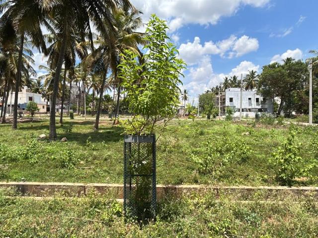 Residential Plot in Parasaiyyana Hundi for resale Mysore. The reference number is 20597992