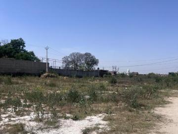 Residential Plot in Partap Singhwala for resale Ludhiana. The reference number is 20043154