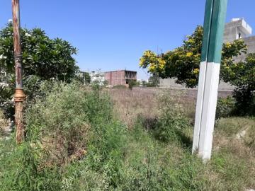 Residential Plot in Partap Singhwala for resale Ludhiana. The reference number is 20049817