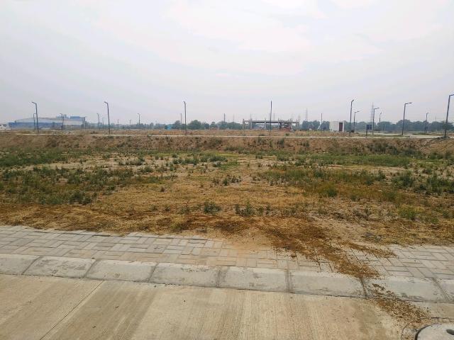 Residential Plot in Pataudi for resale Gurgaon. The reference number is 19547259