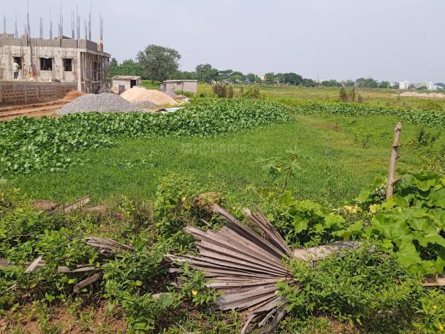 Residential Plot in Patrapada for resale Bhubaneswar. The reference number is 15428135