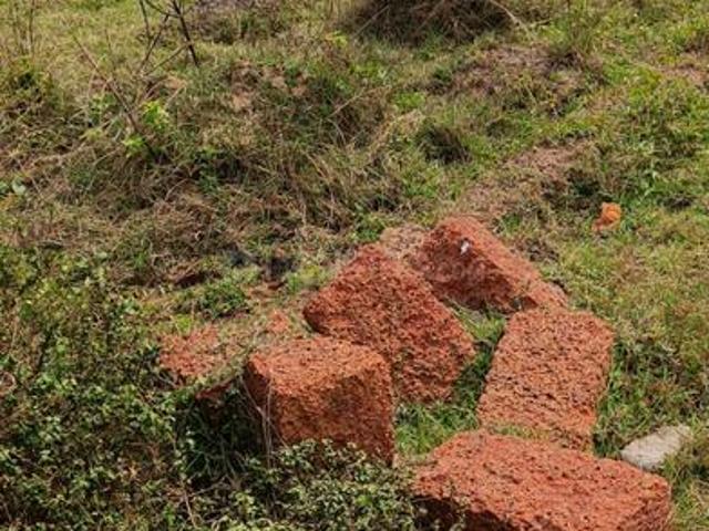 Residential Plot in Patrapada for resale Bhubaneswar. The reference number is 20116298