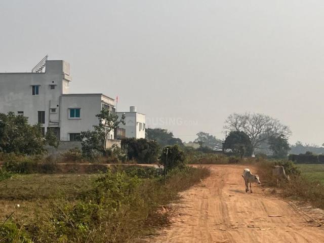 Residential Plot in Patrapada for resale Bhubaneswar. The reference number is 20823902