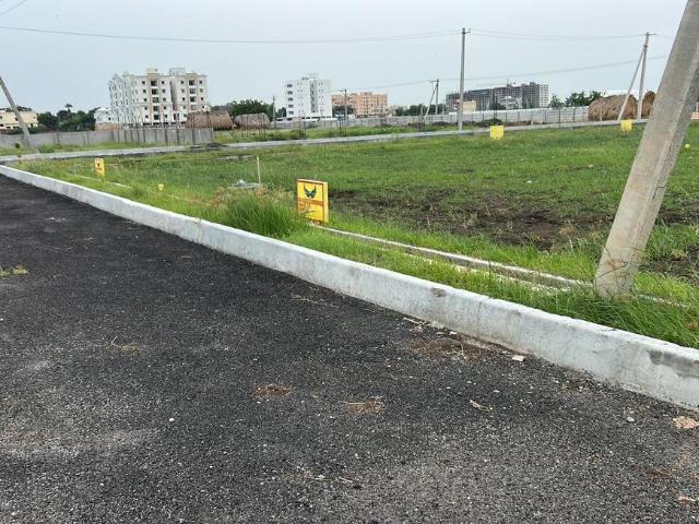 Residential Plot in Peda Palakaluru for resale Guntur. The reference number is 20150228