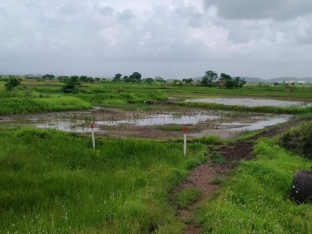 Residential Plot in Pen for resale Raigad. The reference number is 21311943