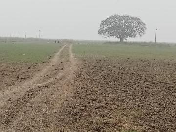 Saran District, Bihar State
