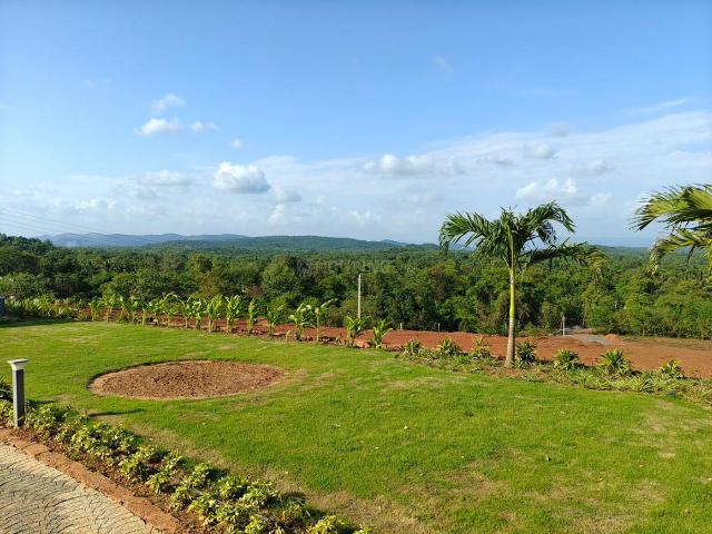 Residential Plot in Pernem for resale Goa. The reference number is 20596555