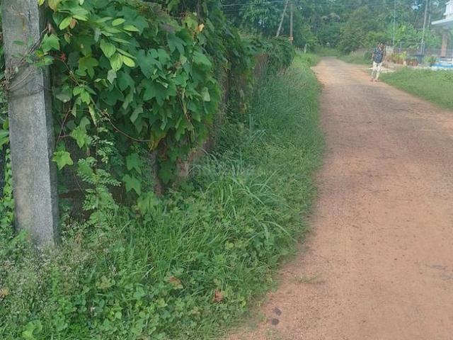 Residential Plot in Peramangalam for resale Thrissur. The reference number is 20380102