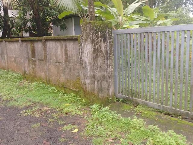 Residential Plot in Peringavu for resale Thrissur. The reference number is 20582133