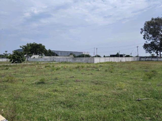 Residential Plot in Perungavoor for resale Chennai. The reference number is 18836932