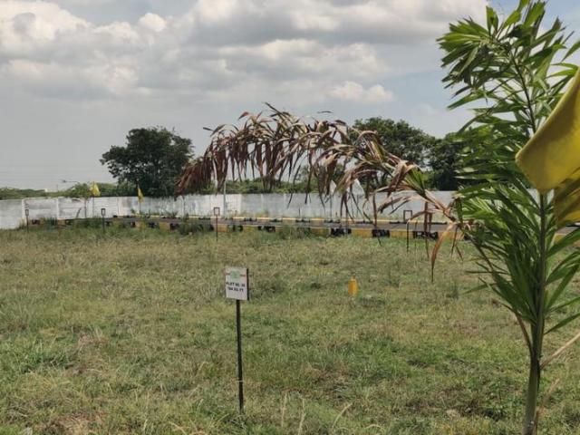 Residential Plot in Perungavoor for resale Chennai. The reference number is 21085421