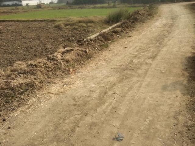 Residential Plot in Phulwari Sharif for resale Patna. The reference number is 19955565