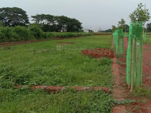 Residential Plot in Phulnakhara for resale Cuttack. The reference number is 15047713
