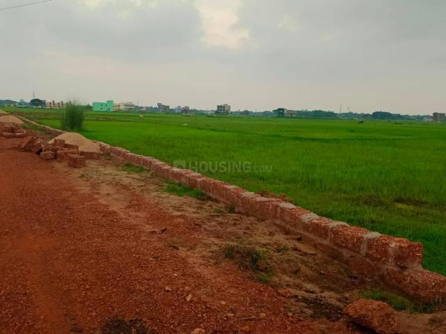 Residential Plot in Phulnakhara for resale Cuttack. The reference number is 20360574