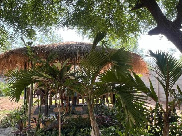 Residential Plot in Pipan for resale Ahmedabad. The reference number is 20280259