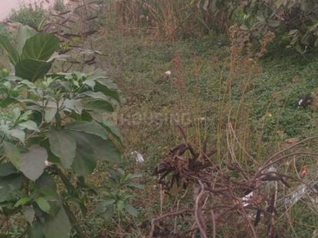Residential Plot in Pipla for resale Nagpur. The reference number is 21372631