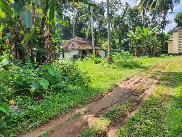 Residential Plot in Piravom for resale Ernakulam. The reference number is 16341155