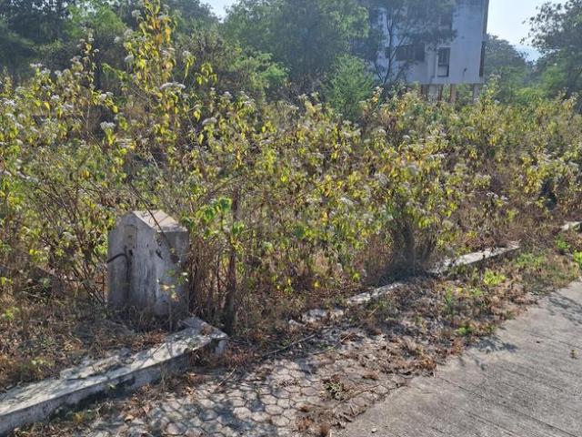 Residential Plot in Pirangut for resale Pune. The reference number is 19177455