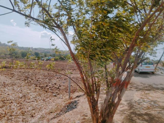 Residential Plot in Pirkone for resale Navi Mumbai. The reference number is 17901880