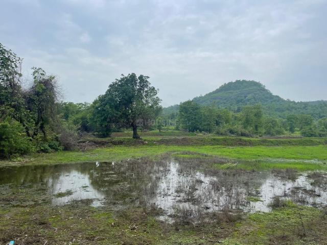 Residential Plot in Pirkone for resale Navi Mumbai. The reference number is 19972003