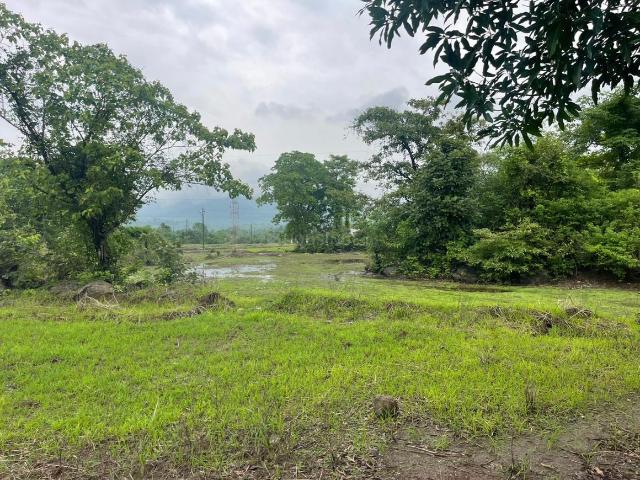 Residential Plot in Pirkone for resale Navi Mumbai. The reference number is 20240161