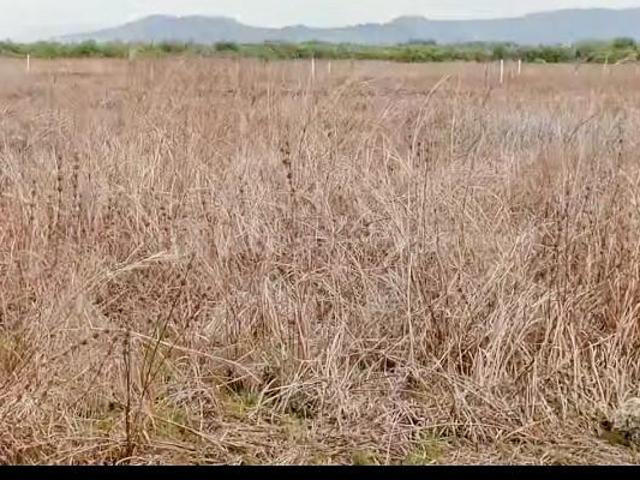 Residential Plot in Pirkone for resale Navi Mumbai. The reference number is 21302888