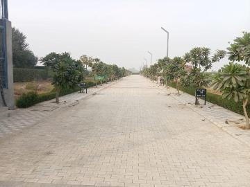 Palwal District, Haryana State