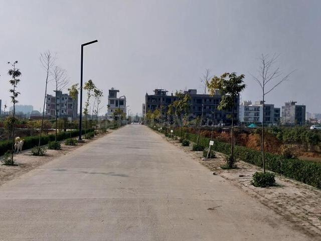 Residential Plot in Pirthla for resale Palwal. The reference number is 20782687