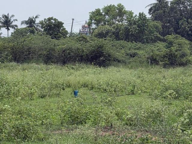Residential Plot in Poondi for resale Chennai. The reference number is 21237181