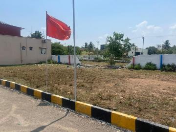 AV Serene Street - Garden