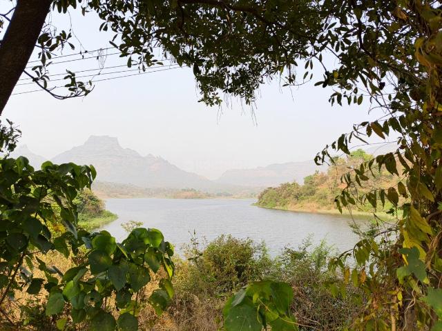 Residential Plot in Poyanje for resale Navi Mumbai. The reference number is 19471092
