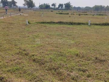 Bolpur, Murshidabad District County, West Bengal