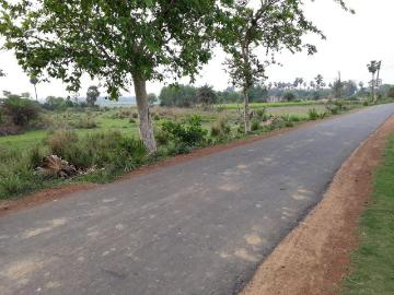 Bolpur, Murshidabad District County, West Bengal