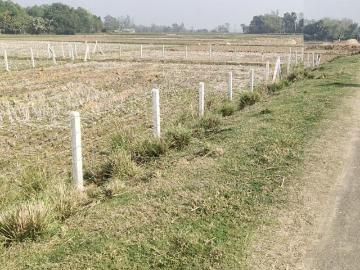 Bolpur, Murshidabad District County, West Bengal