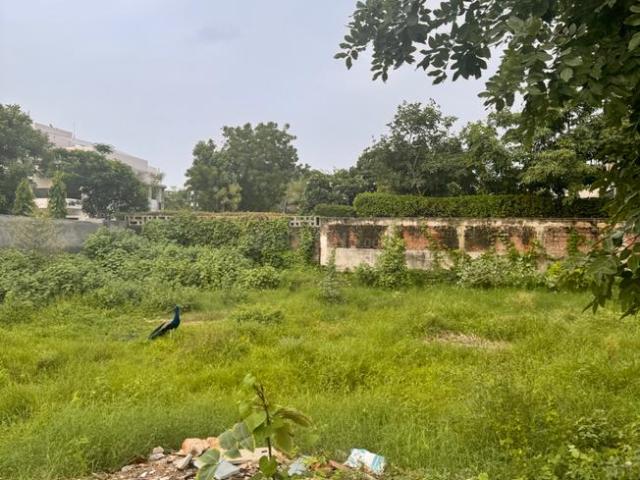 Residential Plot in Prahlad Nagar for resale Ahmedabad. The reference number is 19114779
