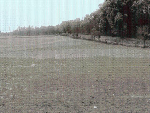 Residential Plot in Prem Nagar for resale Dehradun. The reference number is 13758998