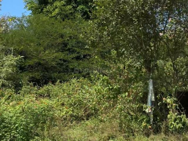 Residential Plot in Prem Nagar for resale Dehradun. The reference number is 21322498