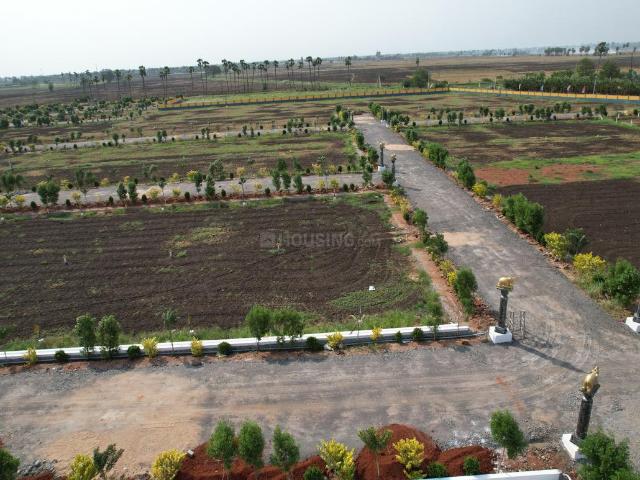 Residential Plot in Prodduturu for resale Krishna. The reference number is 19302579