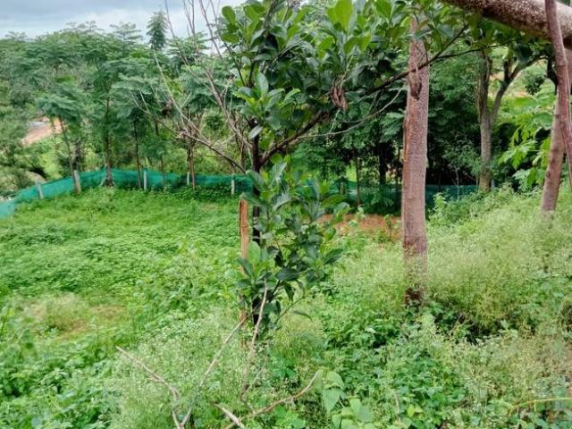 Residential Plot in Ragihalli State Forest for resale Bengaluru. The reference number is 20996247