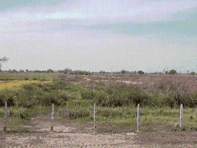 Residential Plot in Radha Kund Road for resale Vrindavan. The reference number is 20142261