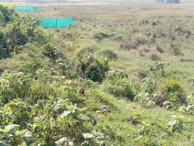 Residential Plot in Arapanch for resale Kolkata. The reference number is 15919701
