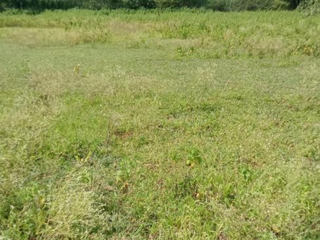 Residential Plot in Raikode for resale Sangareddy. The reference number is 21013108