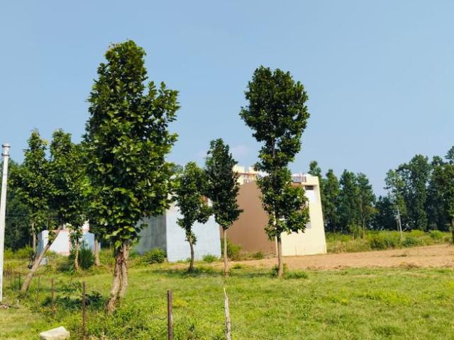 Residential Plot in Raipur for resale Dehradun. The reference number is 15638736