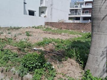 Residential Plot in Raipur for resale Dehradun. The reference number is 18769663