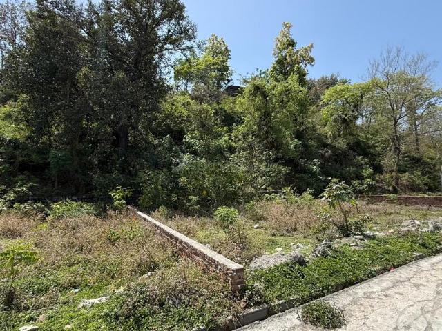 Residential Plot in Raipur for resale Dehradun. The reference number is 21187307