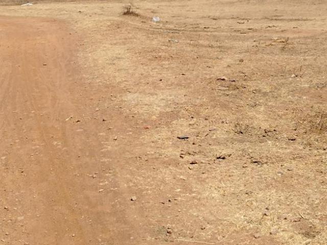 Residential Plot in Raipura for resale Raipur. The reference number is 19789626